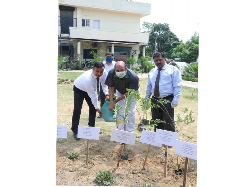 CA Day Celebration on 01.07.2020 at Branch Premises Yamunanagar( Flag Hoisting Ceremony and Tree Pla