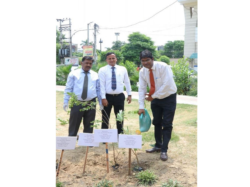 CA Day Celebration on 01.07.2020 at Branch Premises Yamunanagar( Flag Hoisting Ceremony and Tree Pla