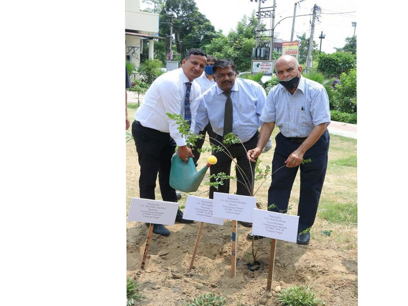 CA Day Celebration on 01.07.2020 at Branch Premises Yamunanagar( Flag Hoisting Ceremony and Tree Pla