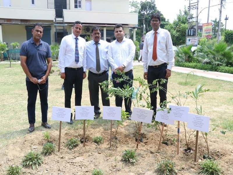 CA Day Celebration on 01.07.2020 at Branch Premises Yamunanagar( Flag Hoisting Ceremony and Tree Pla