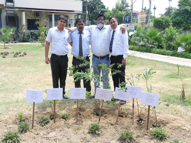 CA Day Celebration on 01.07.2020 at Branch Premises Yamunanagar( Flag Hoisting Ceremony and Tree Pla