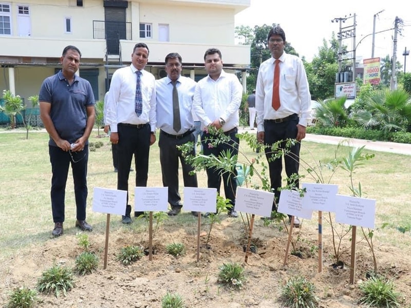 CA Day Celebration on 01.07.2020 at Branch Premises Yamunanagar( Flag Hoisting Ceremony and Tree Pla